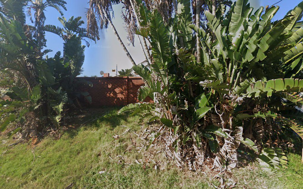 Ocean Breeze Lodge Widenham Kwazulu Natal South Africa Palm Tree, Plant, Nature, Wood