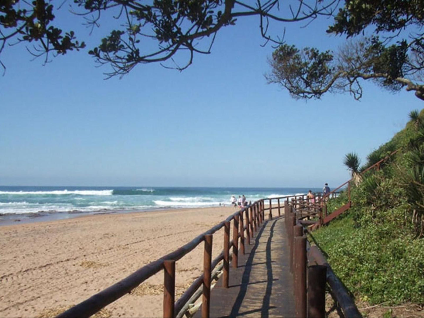 Ocean Rush Zinkwazi Beach Nkwazi Kwazulu Natal South Africa Complementary Colors, Beach, Nature, Sand, Palm Tree, Plant, Wood, Ocean, Waters