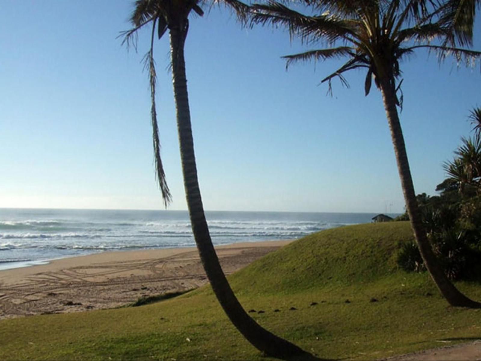 Ocean Rush Zinkwazi Beach Nkwazi Kwazulu Natal South Africa Complementary Colors, Beach, Nature, Sand, Palm Tree, Plant, Wood