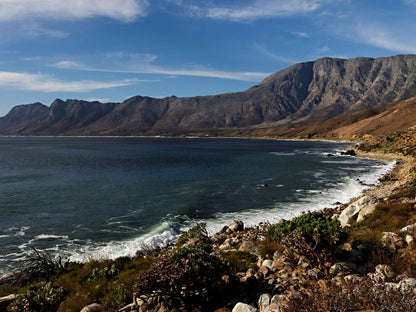 Ocean Song Strand Western Cape South Africa Beach, Nature, Sand