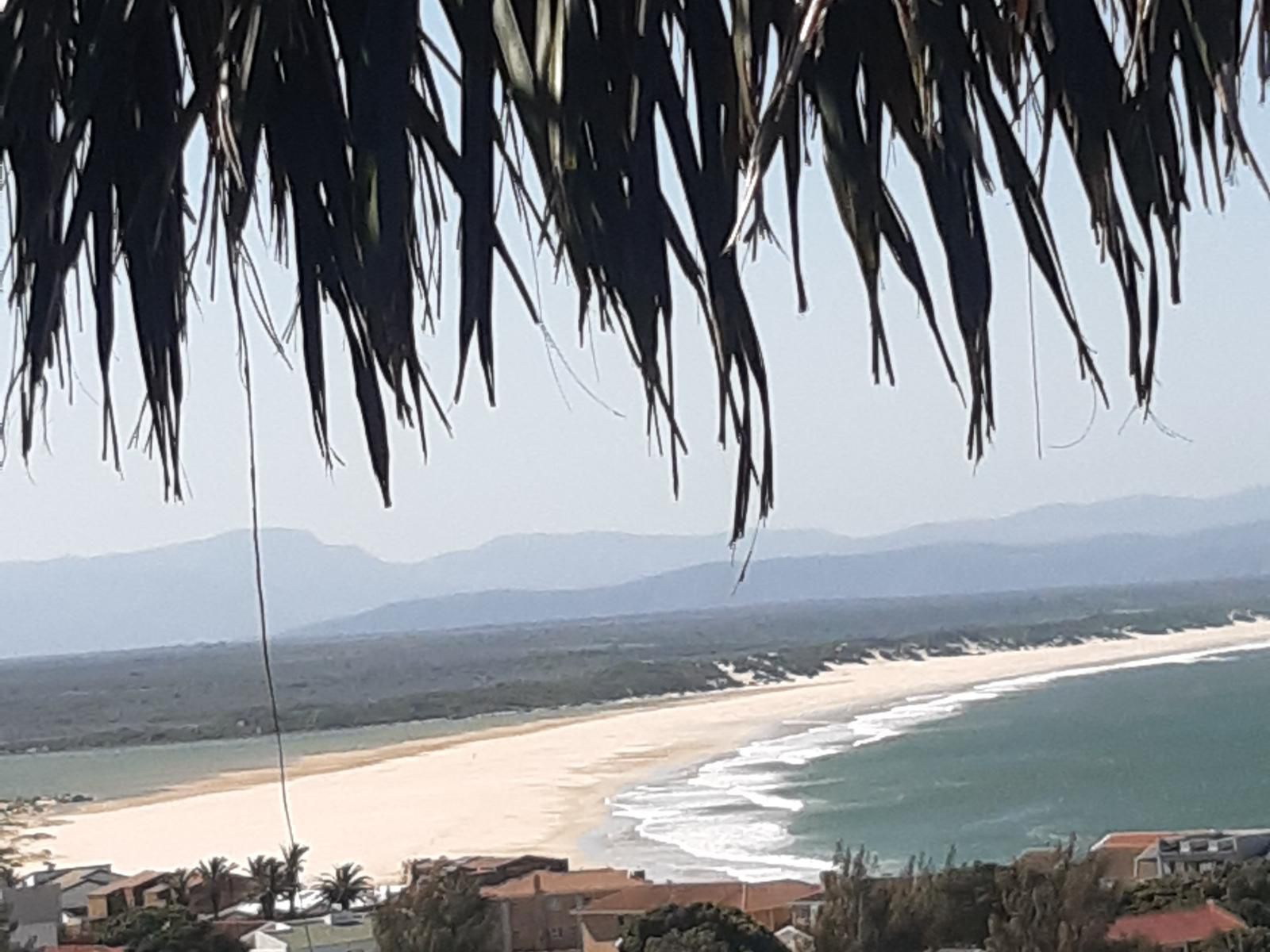 Ocean View Guest House Wavescrest Jeffreys Bay Jeffreys Bay Eastern Cape South Africa Beach, Nature, Sand, Palm Tree, Plant, Wood, Framing