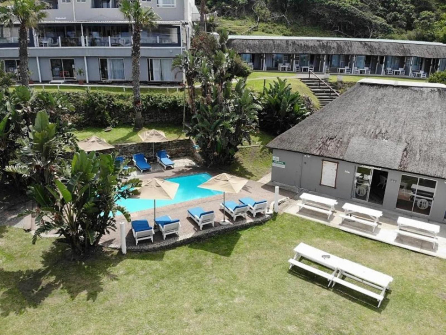 Ocean View Hotel, House, Building, Architecture, Palm Tree, Plant, Nature, Wood, Swimming Pool