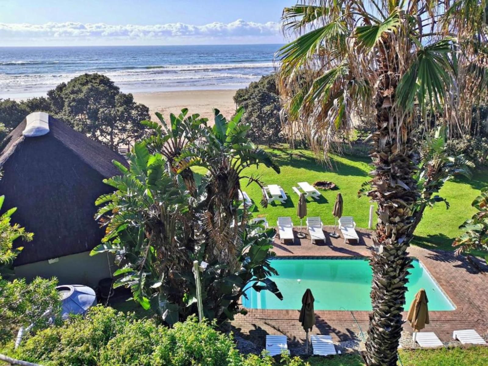 Ocean View Hotel, Beach, Nature, Sand, Palm Tree, Plant, Wood