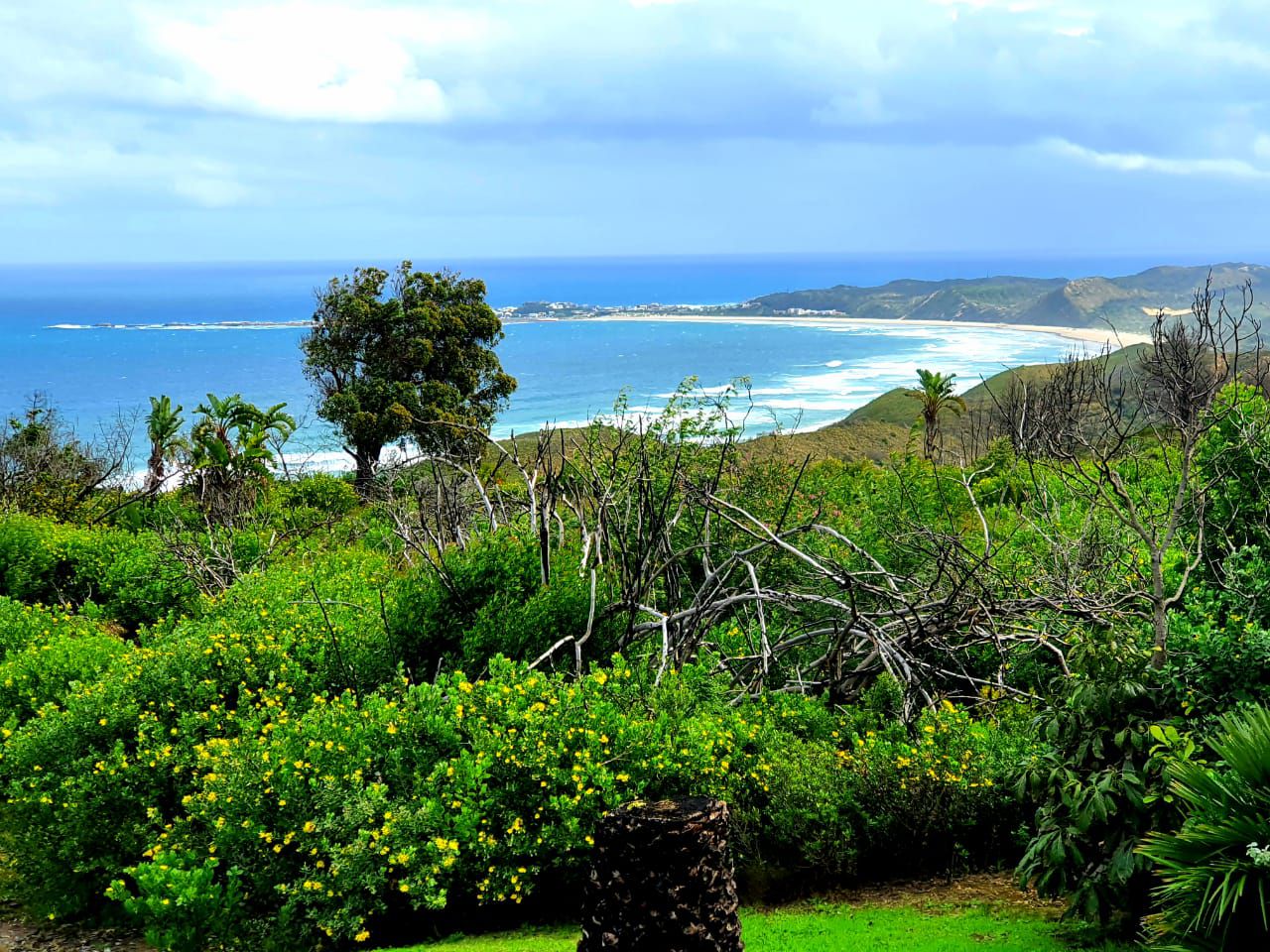 Ocean View Lodge Brenton On Sea Knysna Western Cape South Africa Colorful, Beach, Nature, Sand