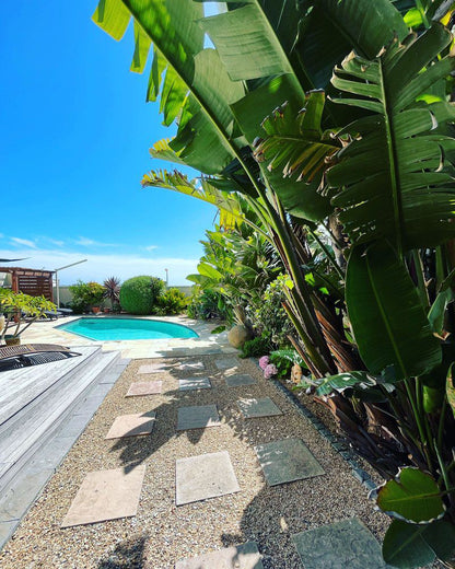 Oceana Villa Bloubergstrand Blouberg Western Cape South Africa Palm Tree, Plant, Nature, Wood, Garden, Swimming Pool