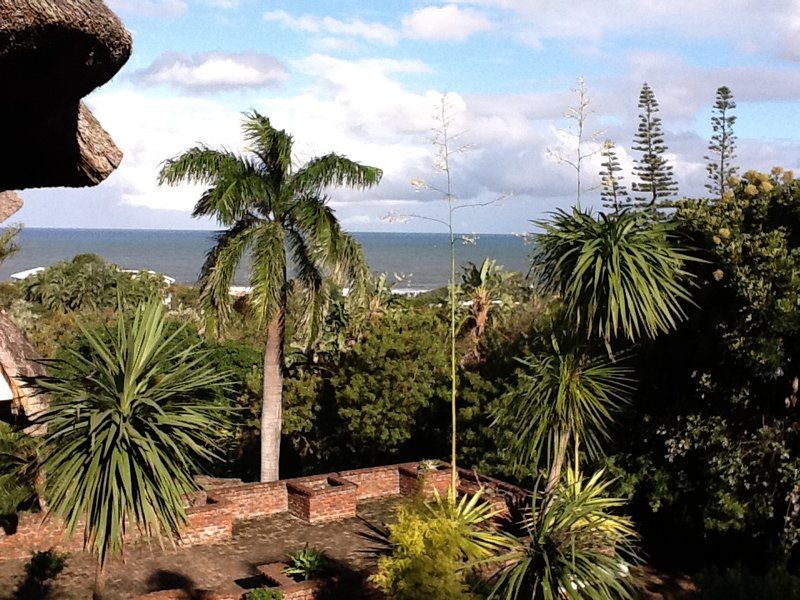 Ocean Fairways Southbroom Kwazulu Natal South Africa Complementary Colors, Beach, Nature, Sand, Palm Tree, Plant, Wood