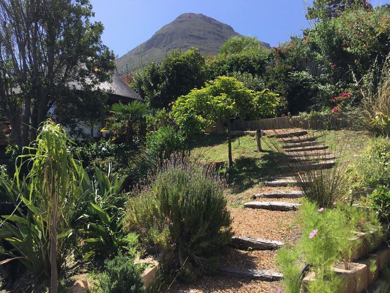 Oceangolf Guesthouse Noordhoek Cape Town Western Cape South Africa Mountain, Nature, Plant, Garden