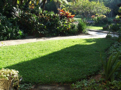 Ocean Grove Guest House Munster Port Edward Kwazulu Natal South Africa Palm Tree, Plant, Nature, Wood, Garden