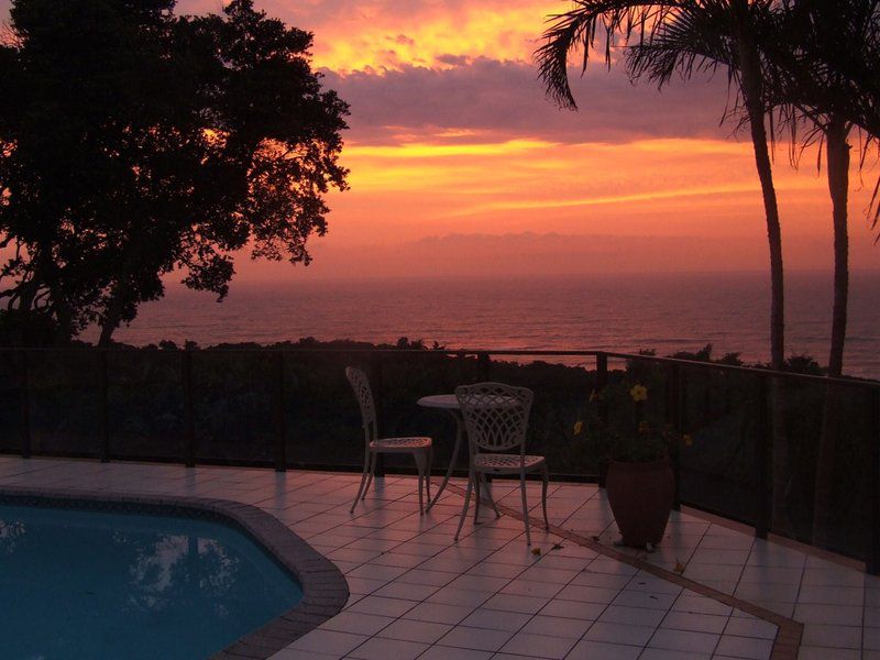 Ocean Grove Guest House Munster Port Edward Kwazulu Natal South Africa Beach, Nature, Sand, Palm Tree, Plant, Wood, Sky, Sunset, Swimming Pool