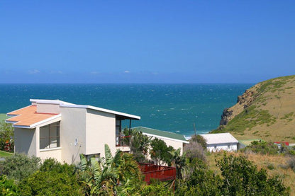 Ocean Valley View Morgan Bay Eastern Cape South Africa Complementary Colors, Beach, Nature, Sand, Palm Tree, Plant, Wood