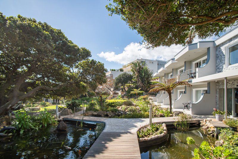 Ocean View House Camps Bay Cape Town Western Cape South Africa House, Building, Architecture, Palm Tree, Plant, Nature, Wood, Garden, Swimming Pool