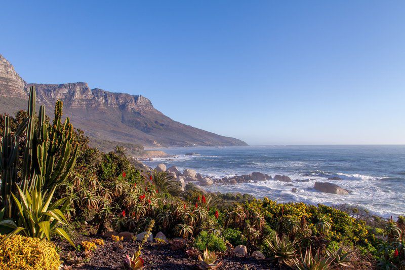 Ocean View House Camps Bay Cape Town Western Cape South Africa Beach, Nature, Sand