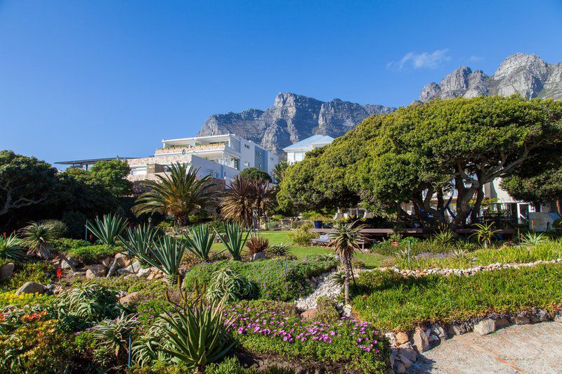 Ocean View House Camps Bay Cape Town Western Cape South Africa Complementary Colors, Nature