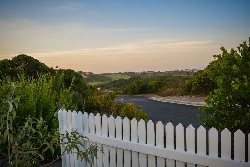 Ocean View The House Pezula Golf Estate Knysna Western Cape South Africa Palm Tree, Plant, Nature, Wood, Garden