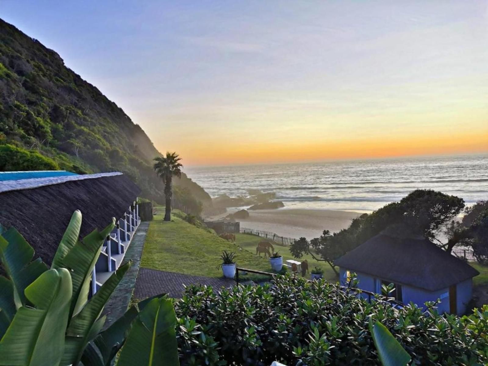 Ocean View Hotel Coffee Bay Eastern Cape South Africa Beach, Nature, Sand, Palm Tree, Plant, Wood