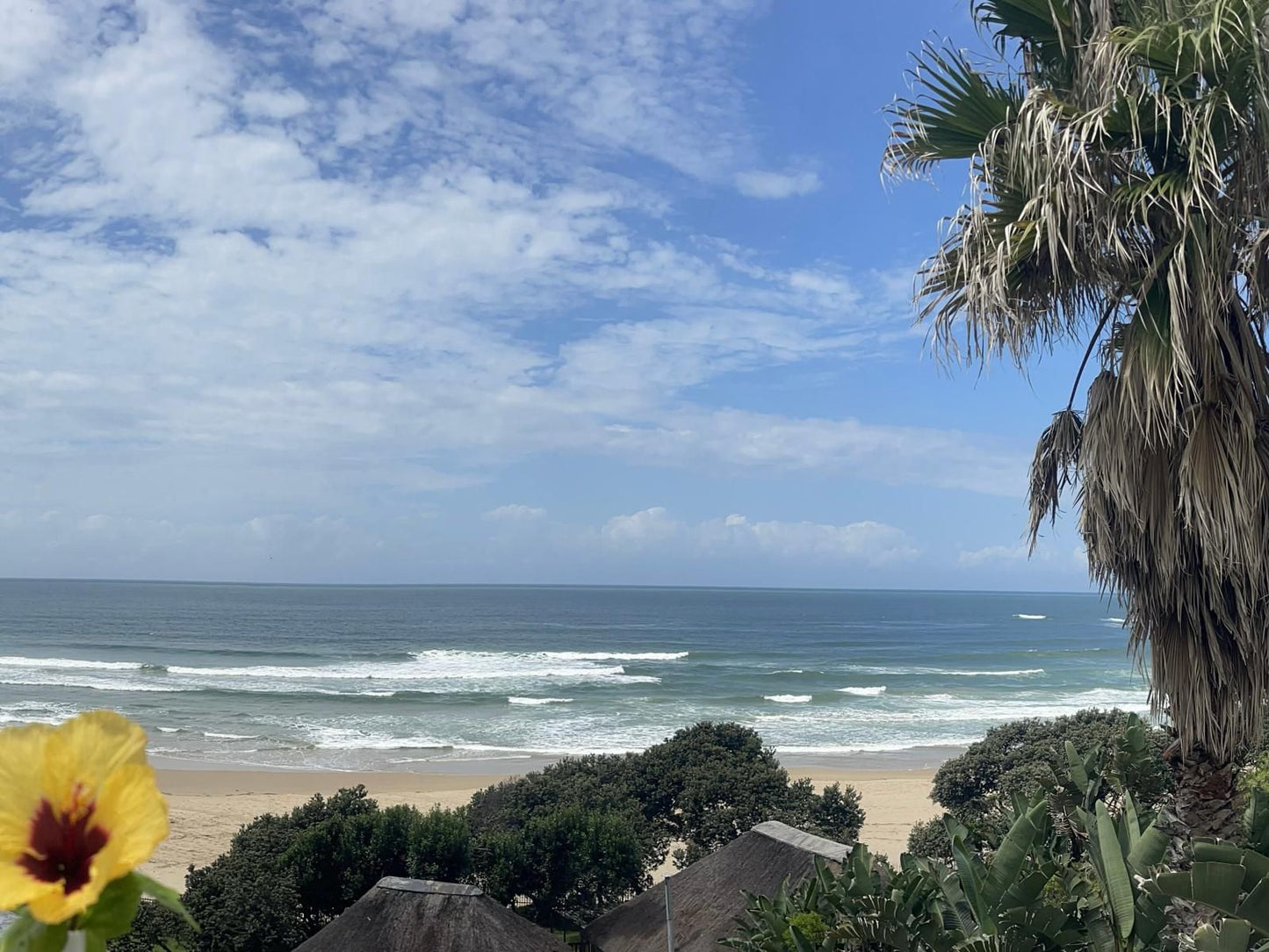 Ocean View Hotel Coffee Bay Eastern Cape South Africa Beach, Nature, Sand, Palm Tree, Plant, Wood, Ocean, Waters