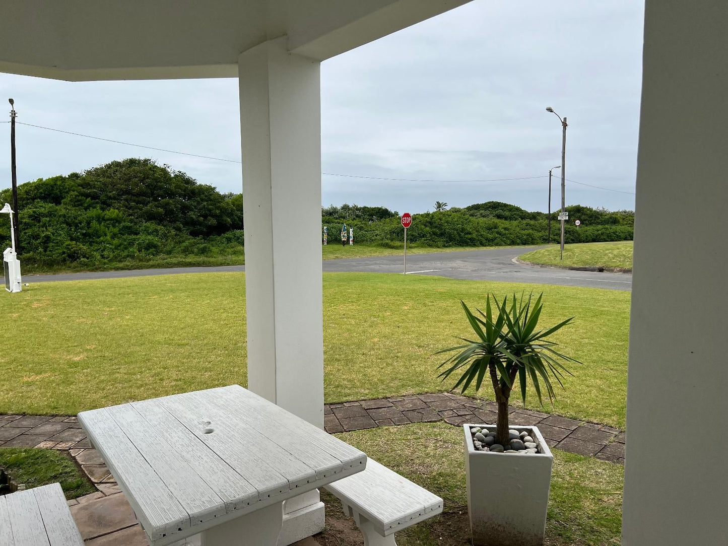 Ocean Way Gonubie East London Eastern Cape South Africa Beach, Nature, Sand, Palm Tree, Plant, Wood