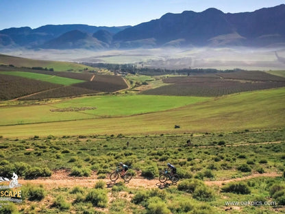 Oewerzicht Tented River Lodge And Farm Cottages Greyton Western Cape South Africa Complementary Colors, Bicycle, Vehicle, Cycling, Sport, Desert, Nature, Sand, Lowland, Mountain Bike, Funsport