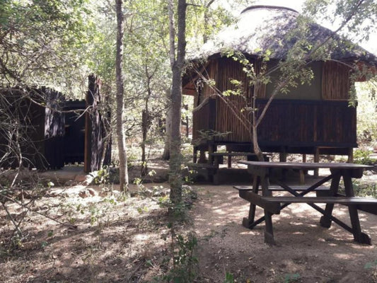 Off Beat Safaris Bush Camp Hoedspruit Limpopo Province South Africa Cabin, Building, Architecture