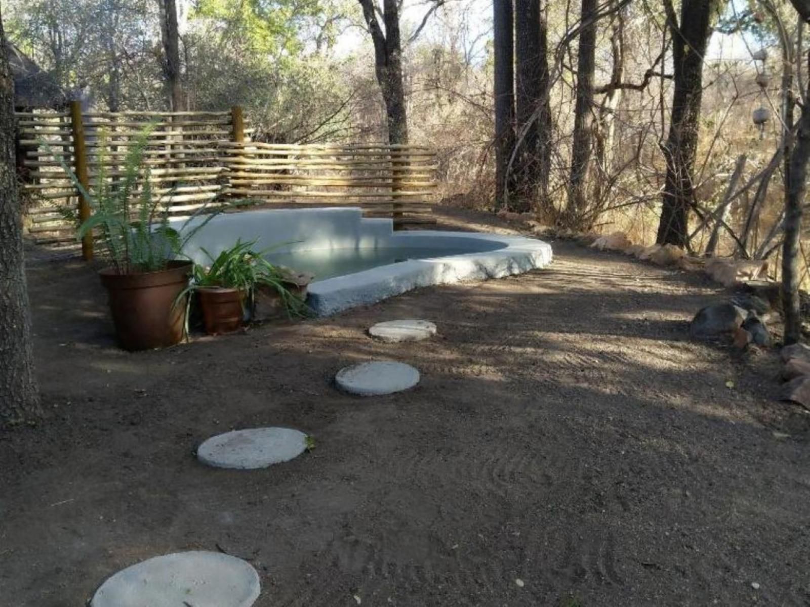 Off Beat Safaris Bush Camp Hoedspruit Limpopo Province South Africa Garden, Nature, Plant, Swimming Pool