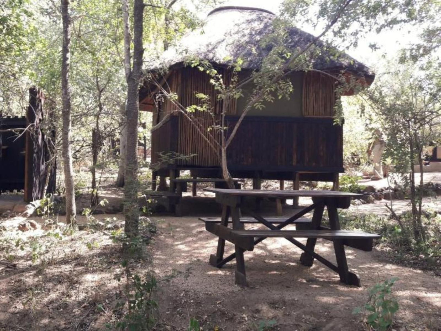 Off Beat Safaris Bush Camp Hoedspruit Limpopo Province South Africa Cabin, Building, Architecture