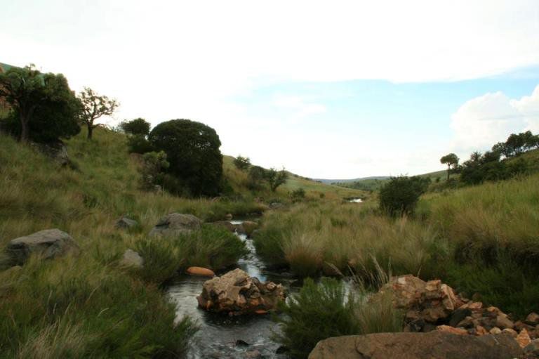 O Grady S Accommodation Dullstroom Mpumalanga South Africa River, Nature, Waters