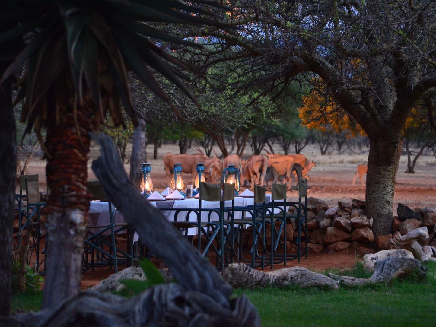 Ohange Namibia Lodge