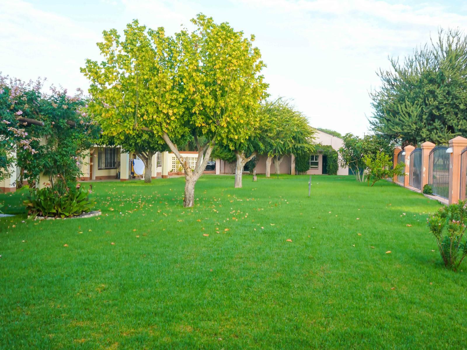 Okajo Safari Lodge, House, Building, Architecture, Plant, Nature