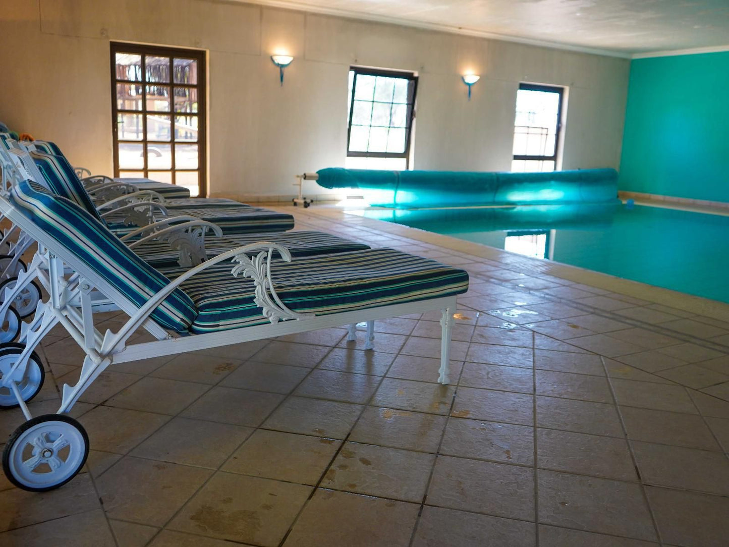 Okajo Safari Lodge, Swimming Pool