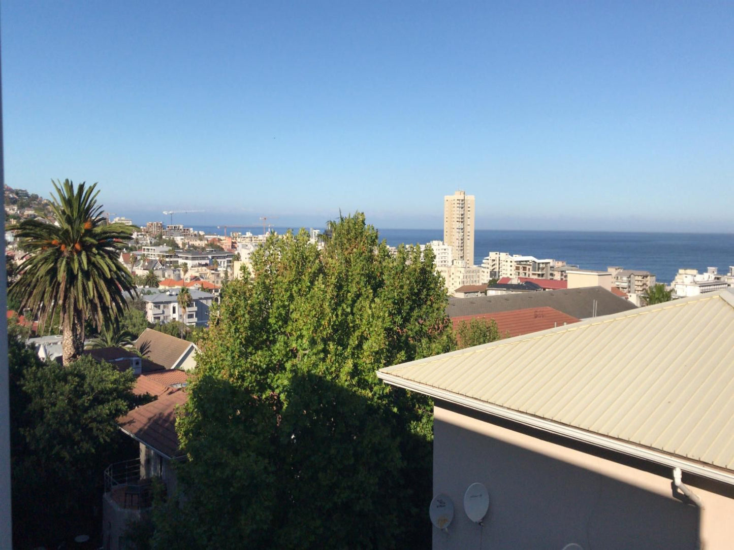 Olaf S Guesthouse Sea Point Cape Town Western Cape South Africa Complementary Colors, Beach, Nature, Sand, Palm Tree, Plant, Wood