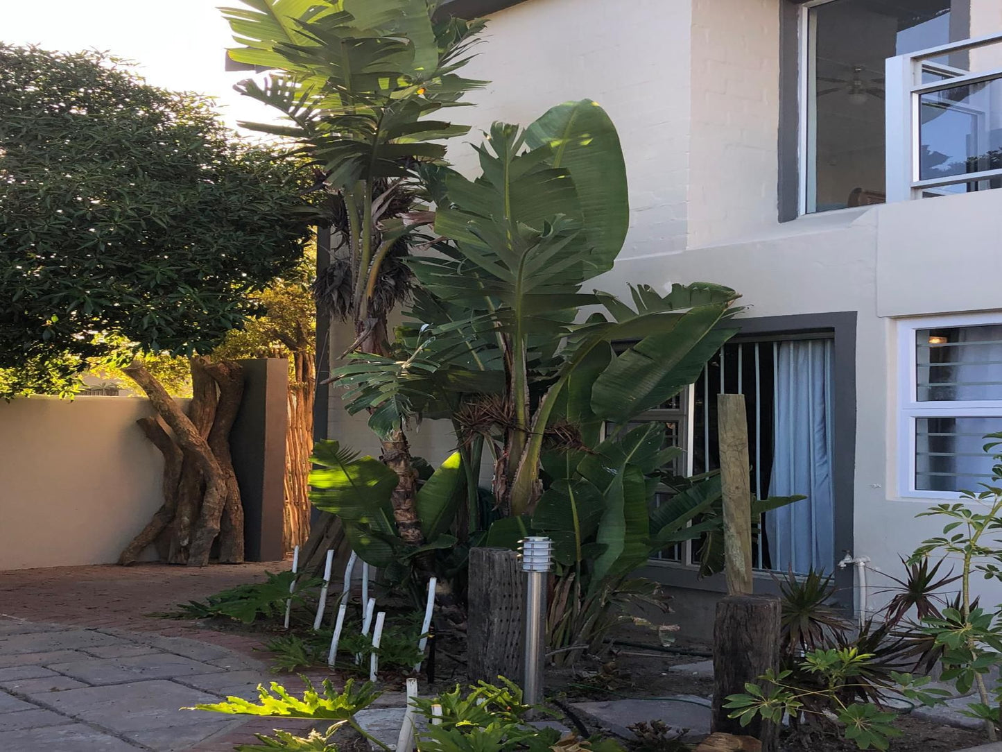 Old Cape On The Marina Port Owen Velddrif Western Cape South Africa Palm Tree, Plant, Nature, Wood, Garden