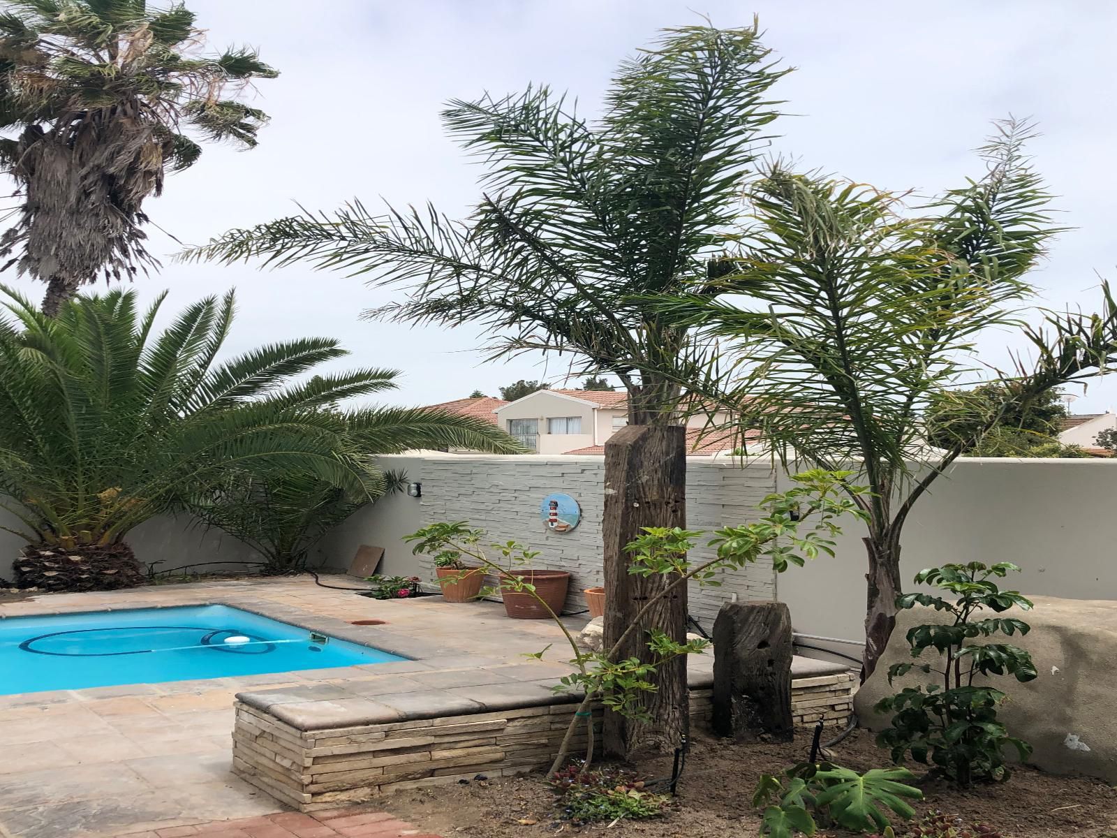 Old Cape On The Marina Port Owen Velddrif Western Cape South Africa Palm Tree, Plant, Nature, Wood, Swimming Pool