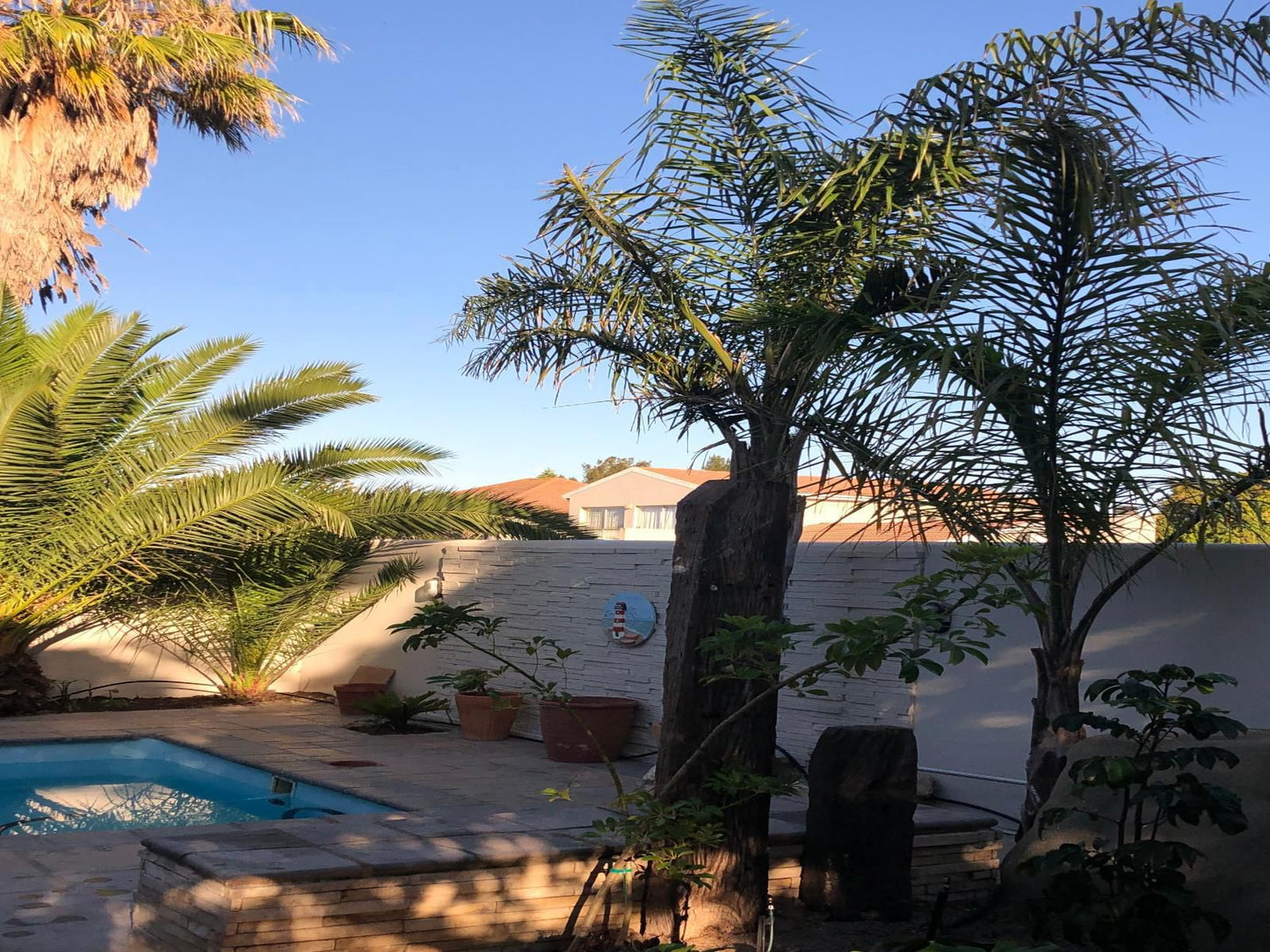 Old Cape On The Marina Port Owen Velddrif Western Cape South Africa Complementary Colors, Palm Tree, Plant, Nature, Wood