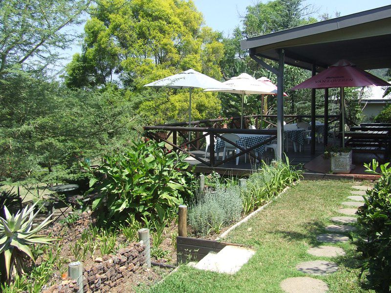 Old Coach Road Guest House Barberton Mpumalanga South Africa Garden, Nature, Plant, Swimming Pool