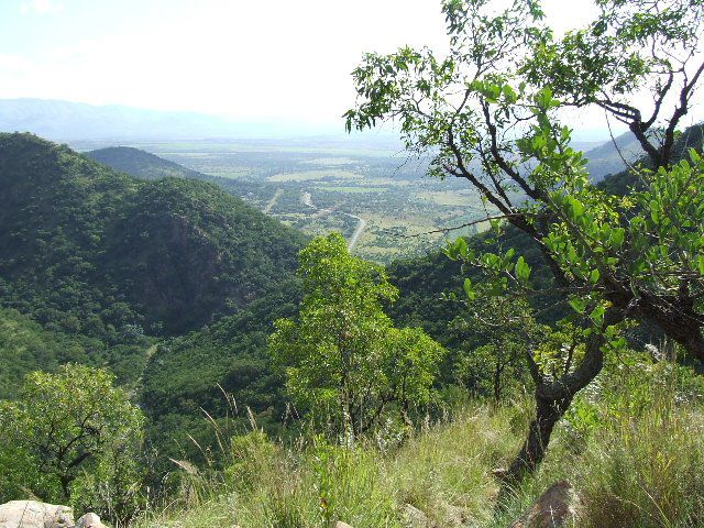 Old Coach Road Guest House Barberton Mpumalanga South Africa Forest, Nature, Plant, Tree, Wood, Highland