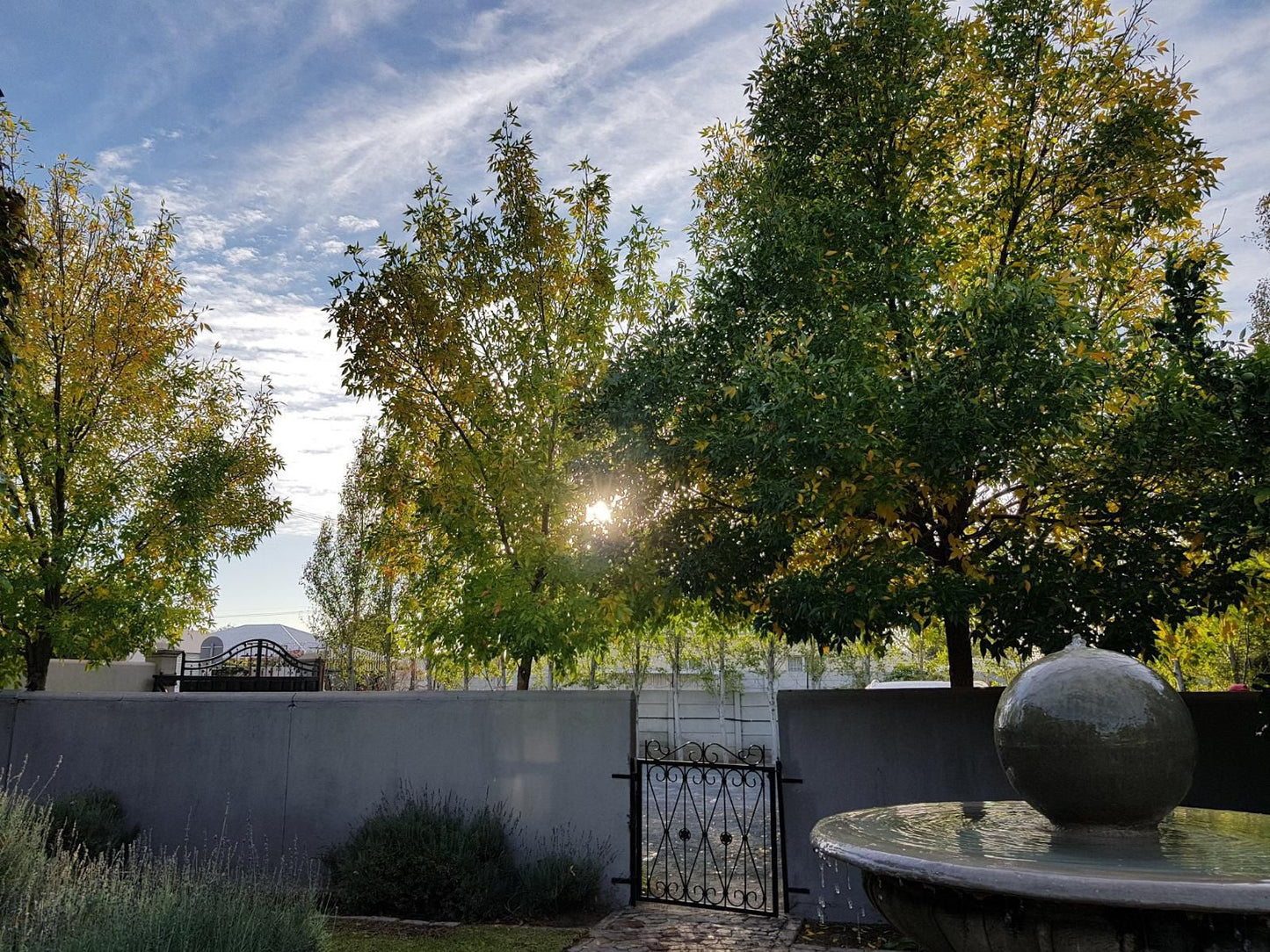 Old House Lodge Beaufort West Western Cape South Africa Tree, Plant, Nature, Wood, Autumn, Cemetery, Religion, Grave