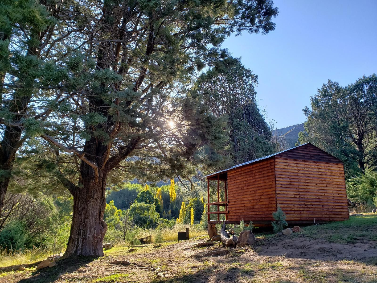 Old Mill Drift Guest Farm Clarens Free State South Africa Cabin, Building, Architecture, Tree, Plant, Nature, Wood