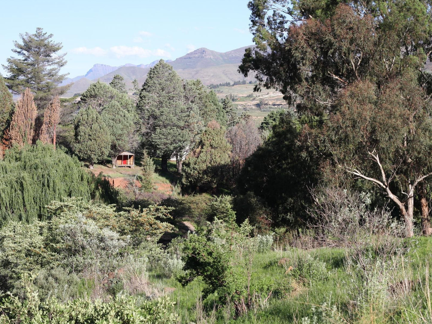 Old Mill Drift Guest Farm Clarens Free State South Africa Nature