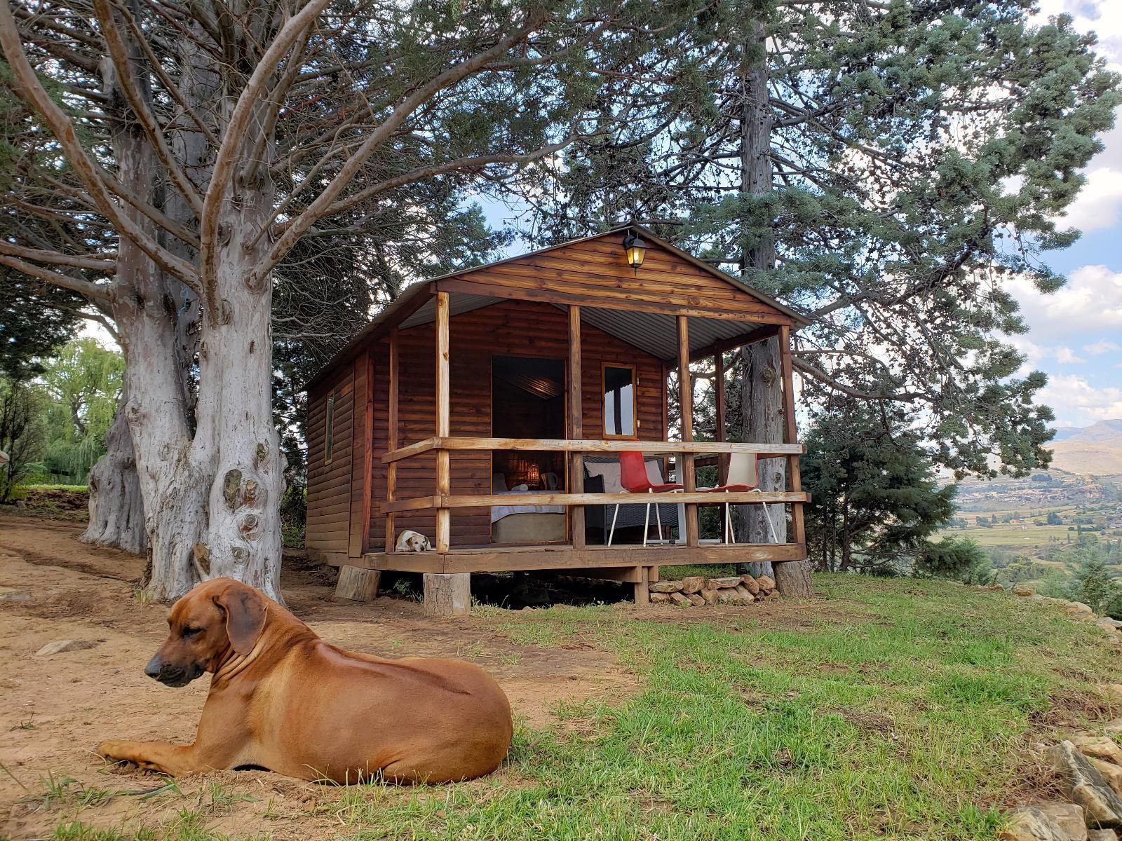 Old Mill Drift Guest Farm Clarens Free State South Africa Dog, Mammal, Animal, Pet, Cabin, Building, Architecture