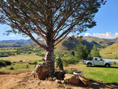 Old Mill Drift Guest Farm Clarens Free State South Africa Tree, Plant, Nature, Wood, Framing, Highland