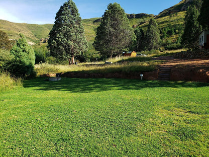 Old Mill Drift Guest Farm Clarens Free State South Africa Garden, Nature, Plant, Highland