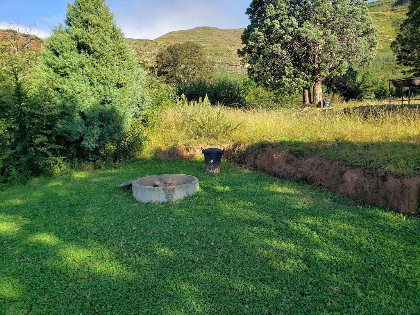 Old Mill Drift Guest Farm Clarens Free State South Africa Tree, Plant, Nature, Wood, Garden