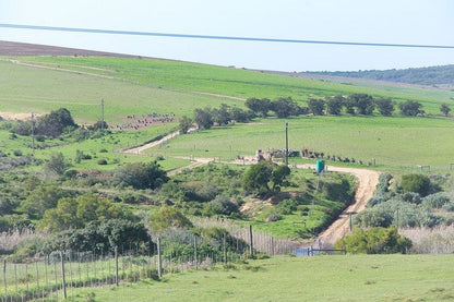 Old Sam S Cottage Bredasdorp Western Cape South Africa Field, Nature, Agriculture, Lowland