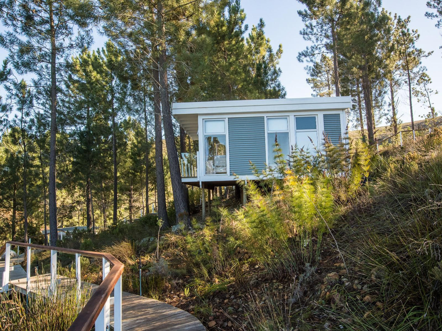 Old Mac Daddy Elgin Western Cape South Africa Cabin, Building, Architecture, Tree, Plant, Nature, Wood