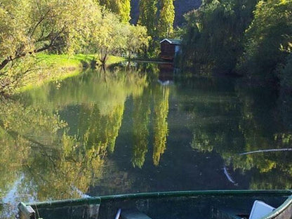 Old Mill Country Lodge Working Ostrich Farm And Restaurant Oudtshoorn Western Cape South Africa River, Nature, Waters, Tree, Plant, Wood