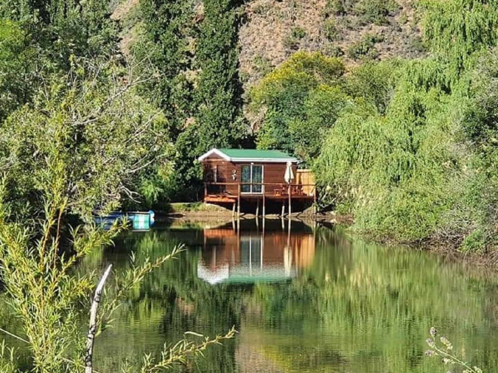 Old Mill Country Lodge Working Ostrich Farm And Restaurant Oudtshoorn Western Cape South Africa River, Nature, Waters