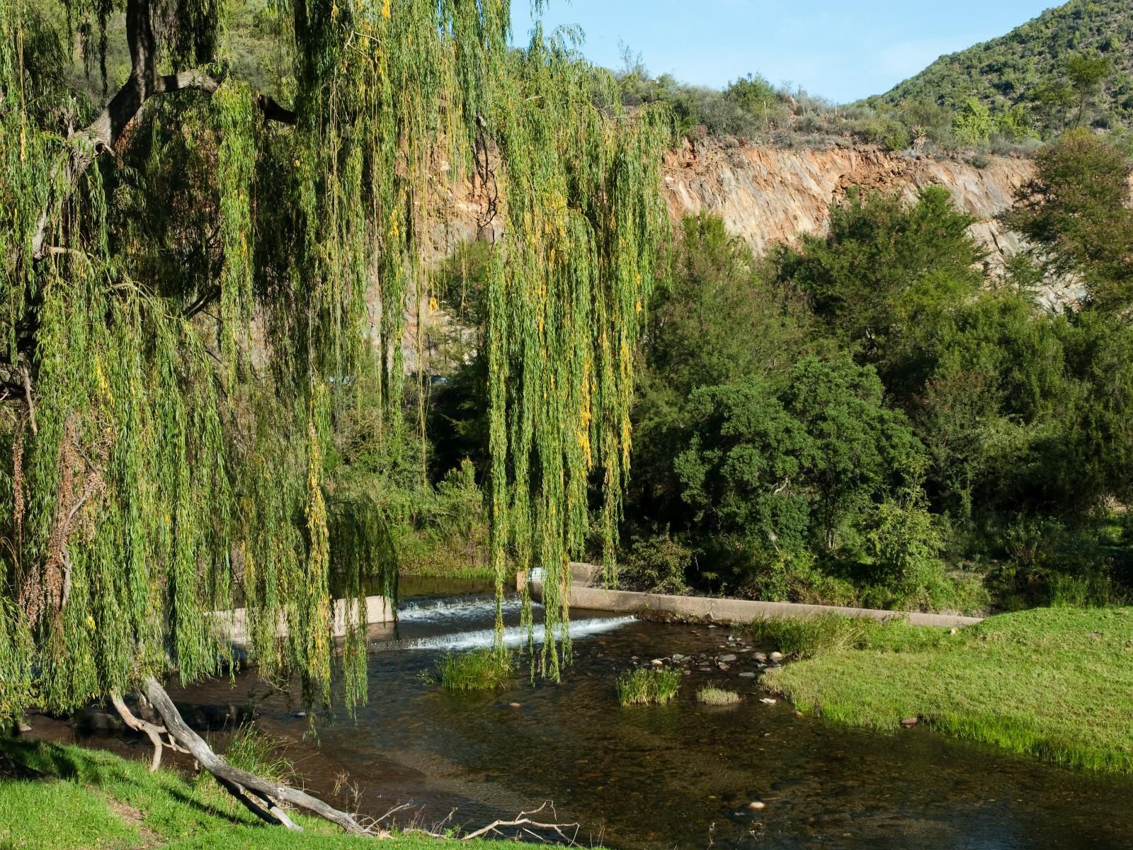 Old Mill Country Lodge Working Ostrich Farm And Restaurant Oudtshoorn Western Cape South Africa River, Nature, Waters, Tree, Plant, Wood