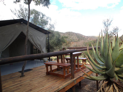 Luxury Riverview Tent IIII @ Old Mill Country Lodge, Working Ostrich Farm & Restaurant