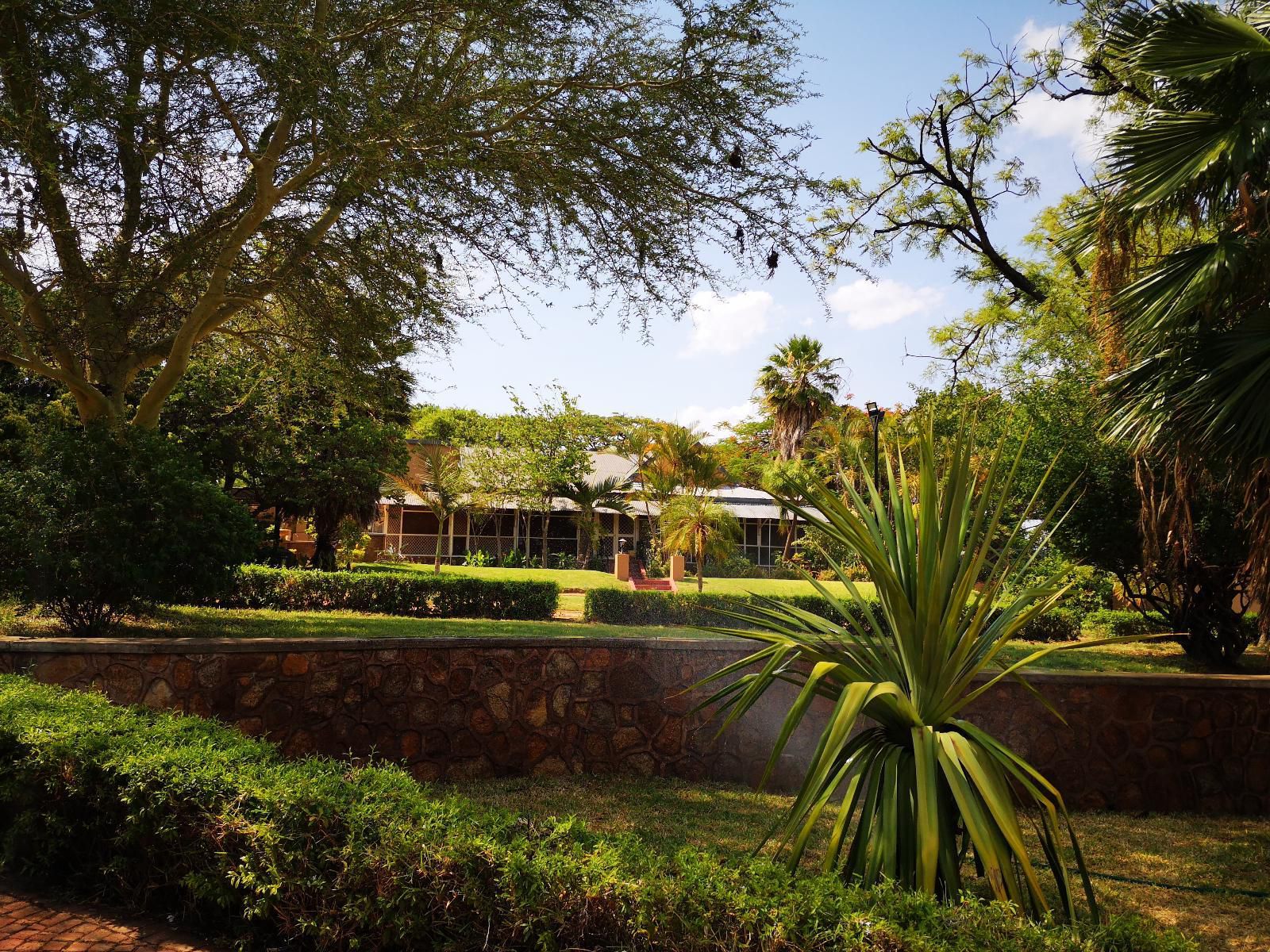 Old Mine Guest House Musina Messina Limpopo Province South Africa Palm Tree, Plant, Nature, Wood