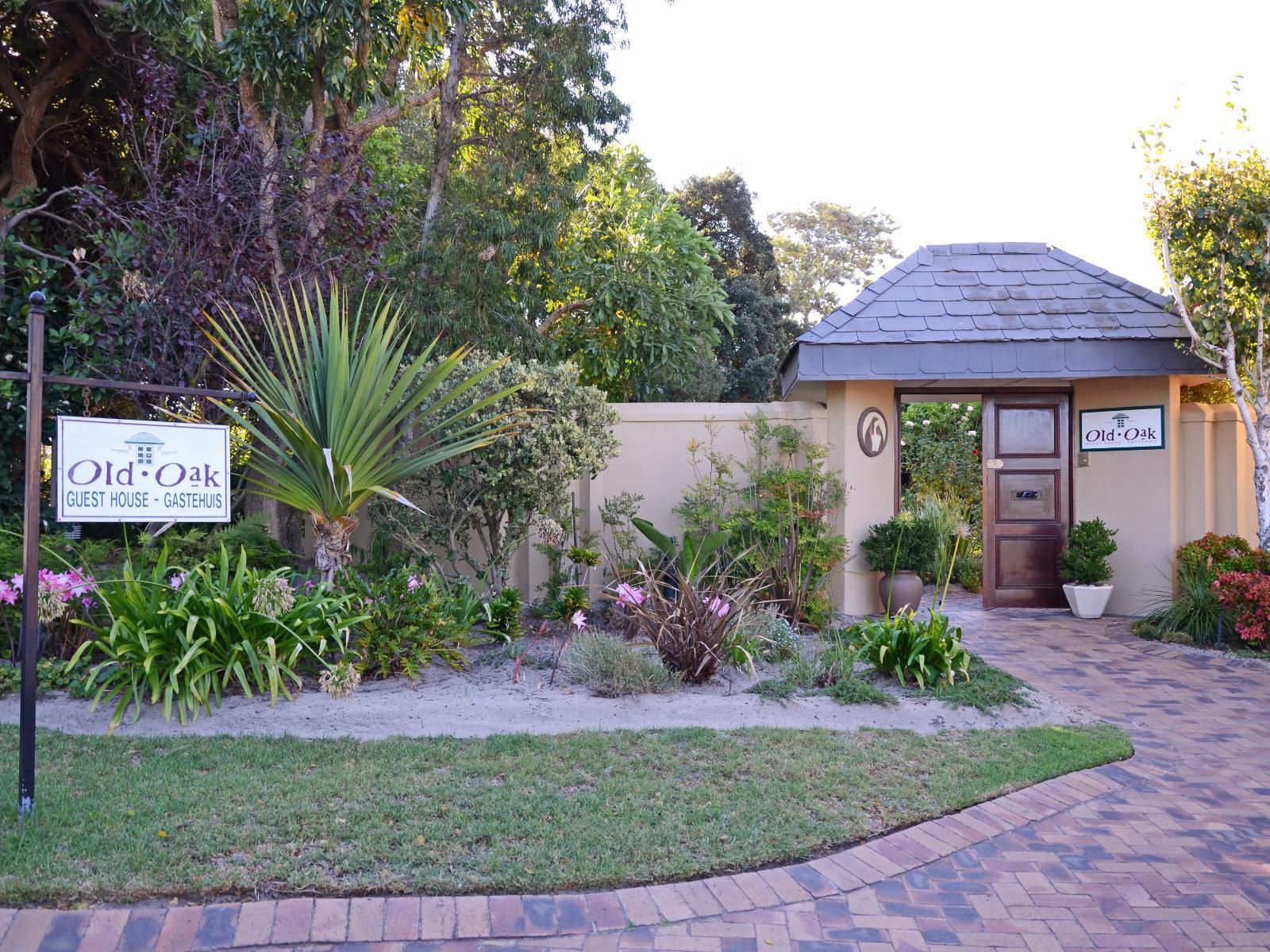 Old Oak Guest House Bellville Cape Town Western Cape South Africa House, Building, Architecture, Palm Tree, Plant, Nature, Wood, Garden